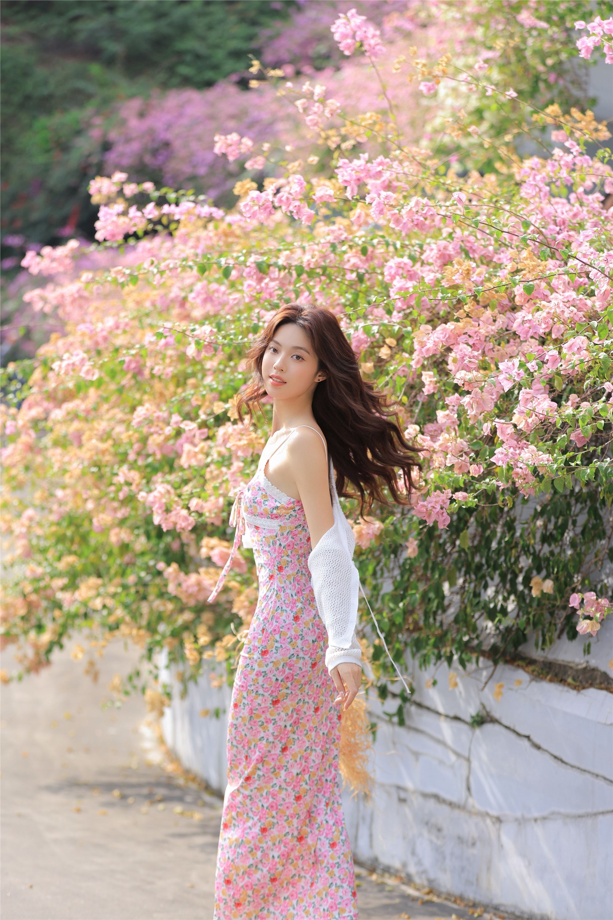 YITUYU艺图语 2025.01.29 春天来了又来 林士真